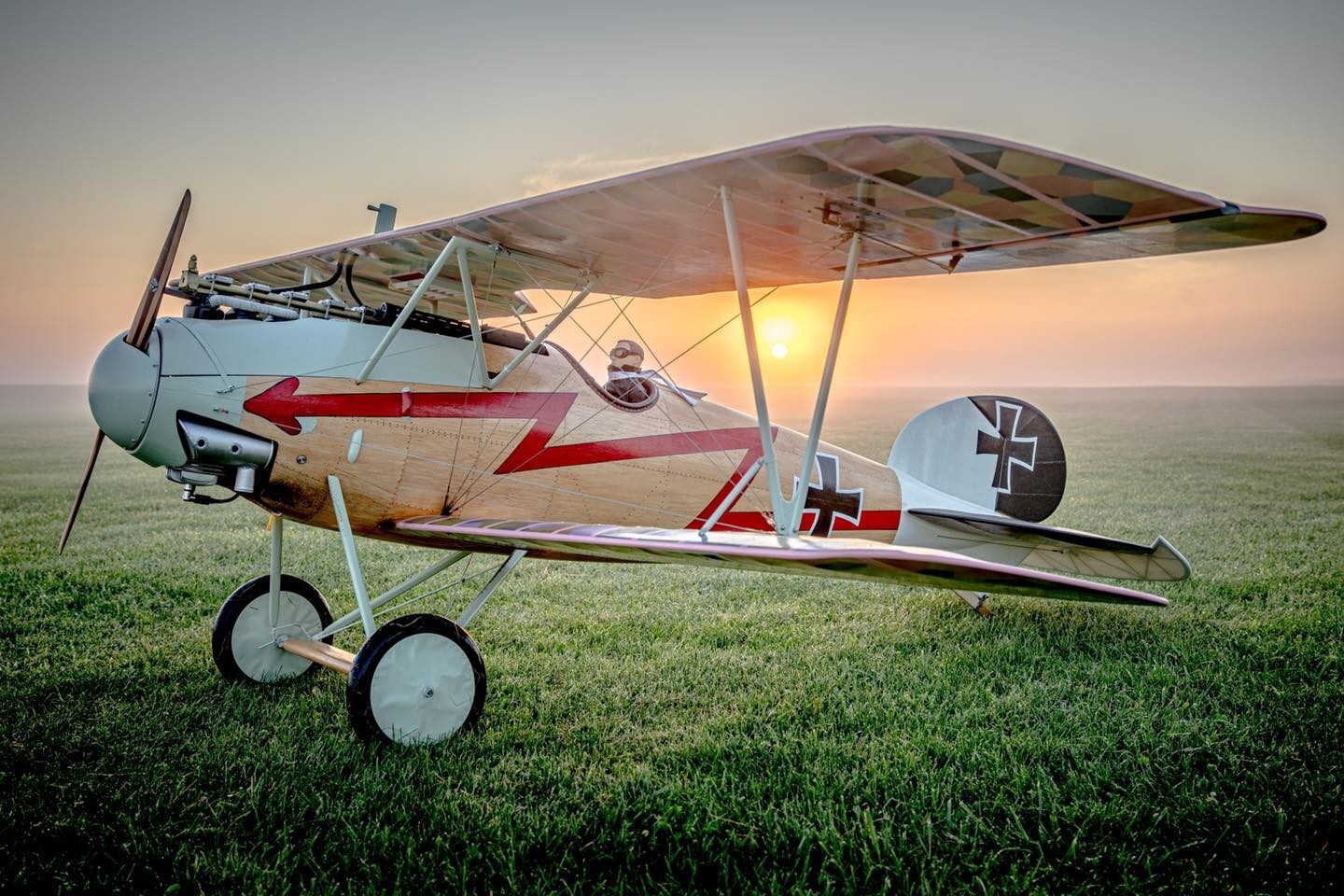 Balsa USA 1/3 Scale Albatros D5/D5A Remote Control Balsa Wood Airplane Kit #433