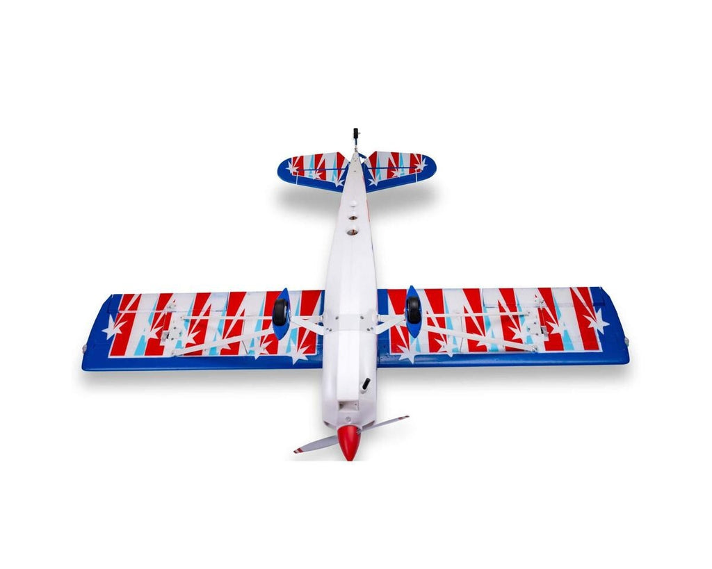 E-flite EFlite Decathlon RJG 1.2m BNF Bind in Fly Basic Electric Airplane SAFE