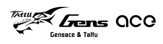 2x Gens Ace 7500mAh 4S HardCase 130C 15.2V Lipo RC Car Truck Battery w/ Deans 