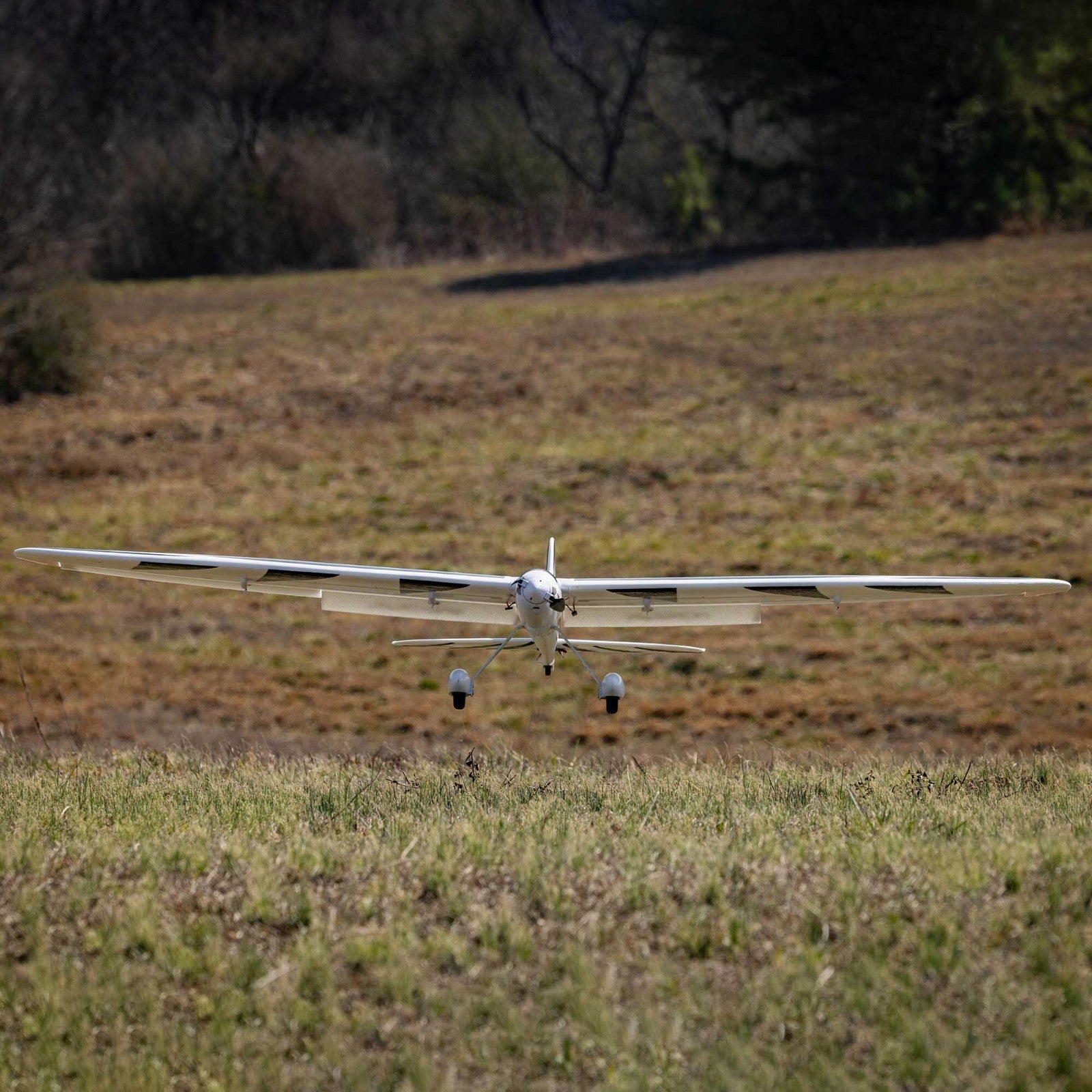 E-Flite Eflite EFL32250 Conscendo 2.0m BNF Basic with AS3X+ and SAFE Select