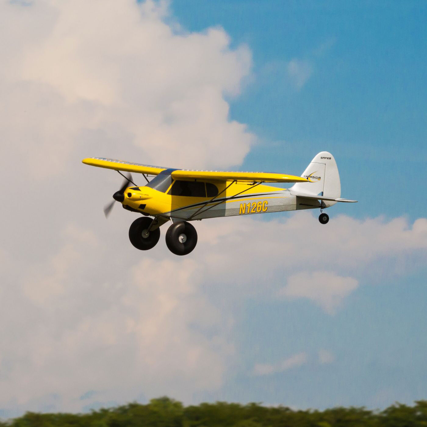 Ultimate Carbon Cub Beginner's Bundle Land Version
